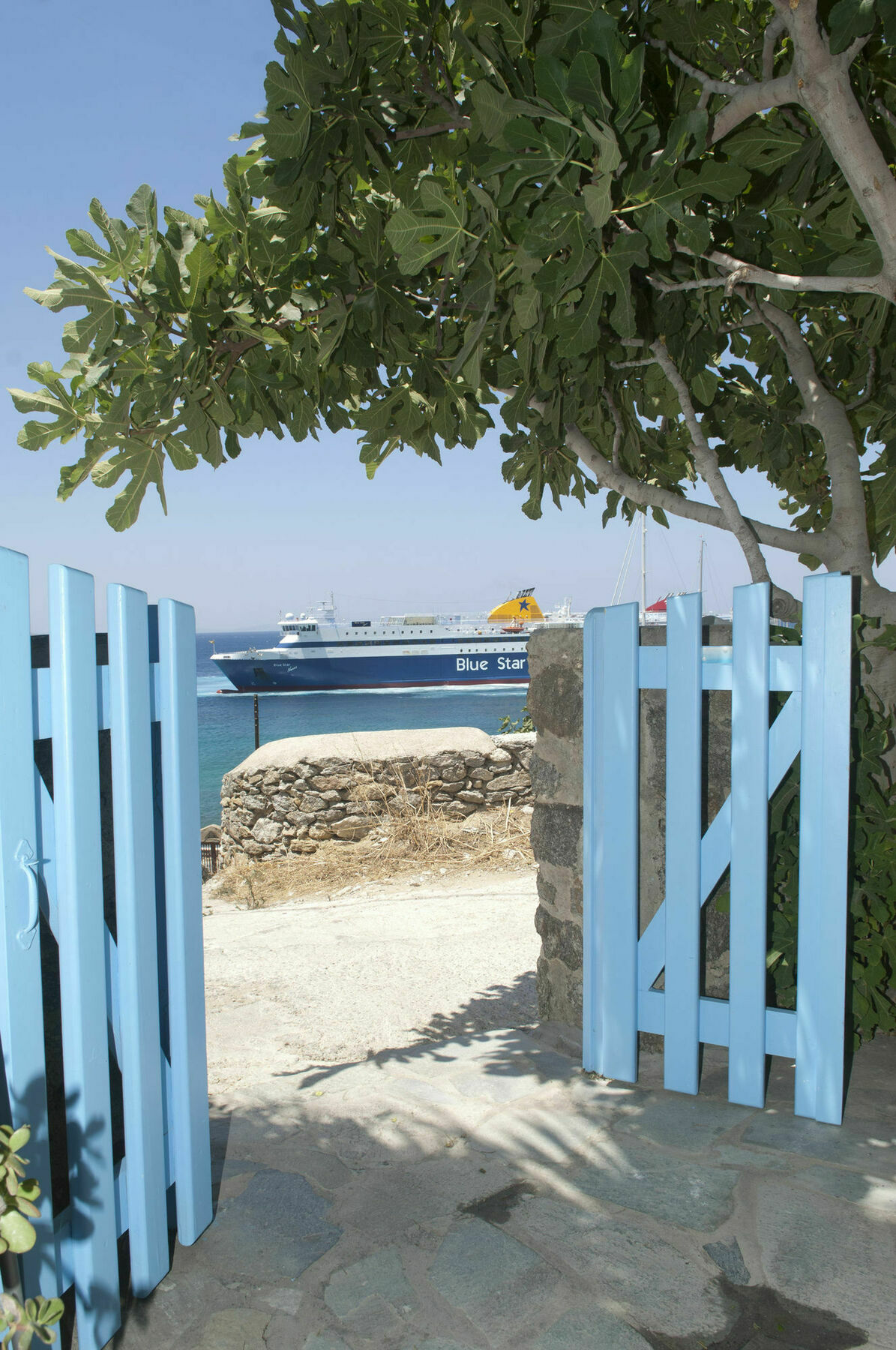 Asimina Hotel Tourlos Exterior photo